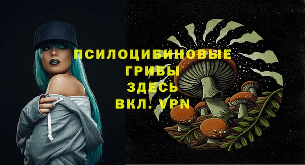 крисы Алексеевка