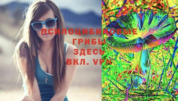 крисы Алексеевка