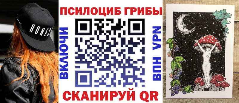 Псилоцибиновые грибы Cubensis  Петровск-Забайкальский 